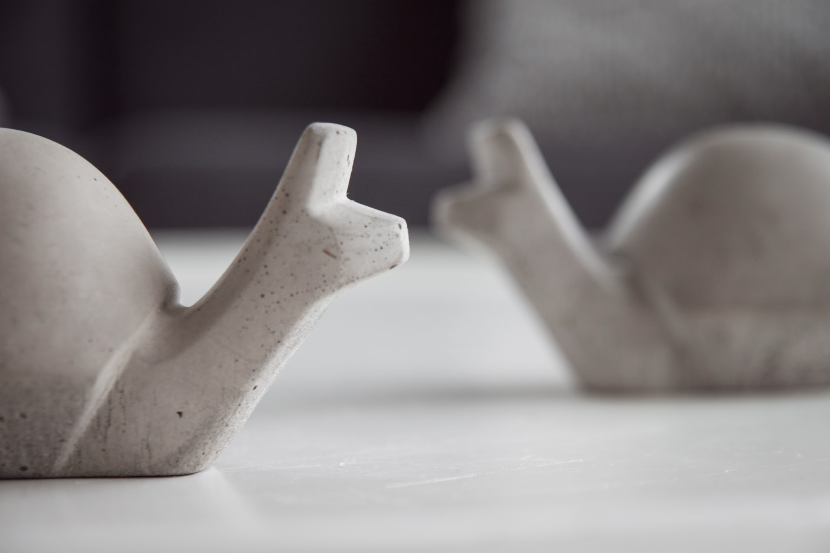 Snígill snagi dökk grár