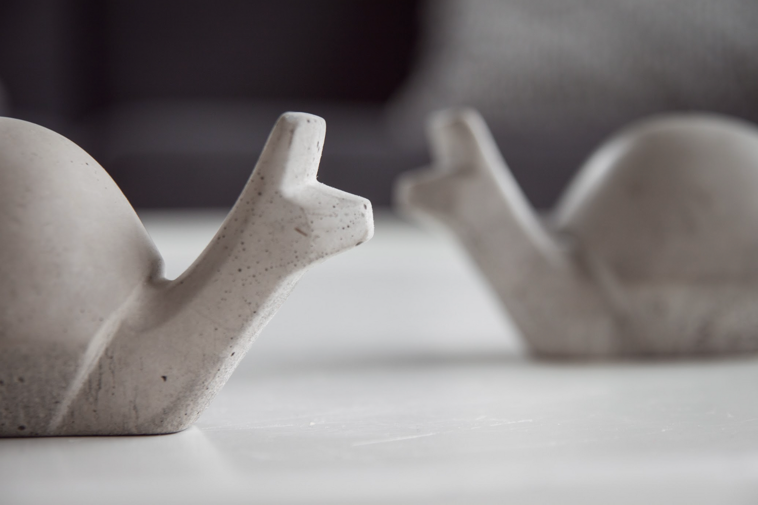 Snígill snagi dökk grár