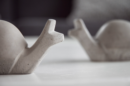 Snígill snagi dökk grár